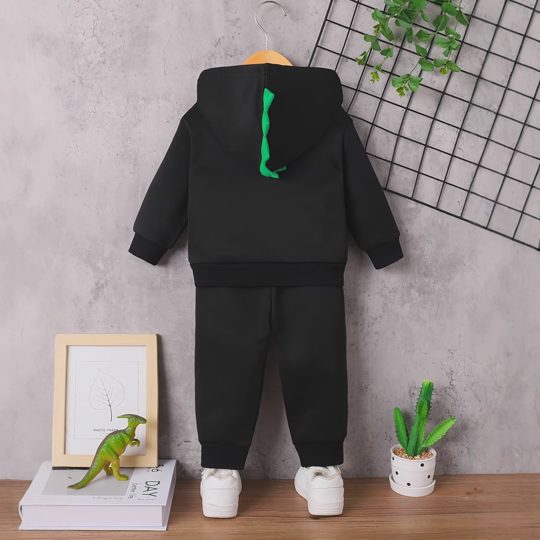 【6M-3Y】Boys' Hooded Dinosaur Appliqué Top And Pants Set